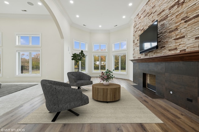 living room with a wealth of natural light, hardwood / wood-style floors, and a towering ceiling