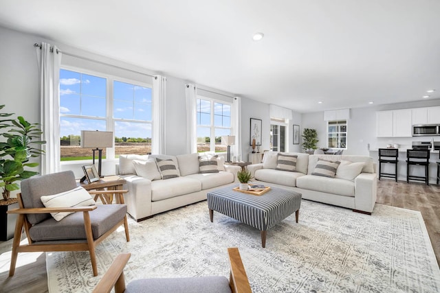 living room with light hardwood / wood-style flooring and a healthy amount of sunlight