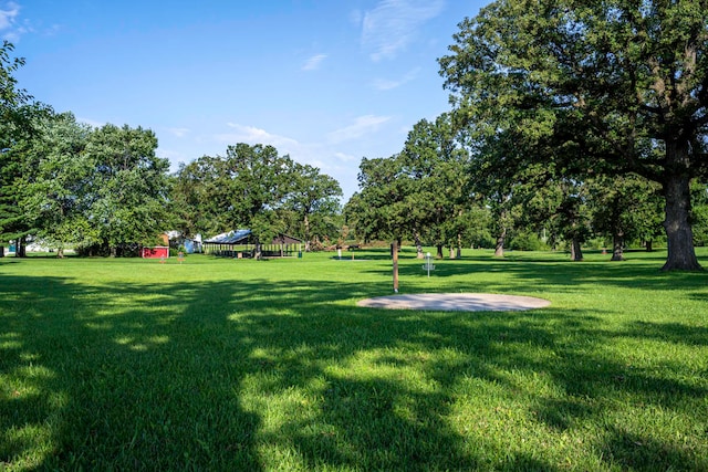 view of property's community featuring a lawn