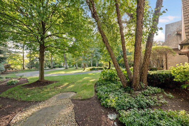 view of home's community with a lawn