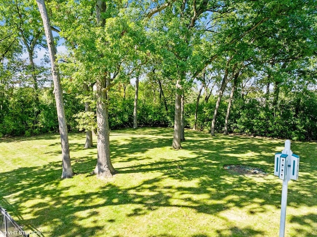 view of yard