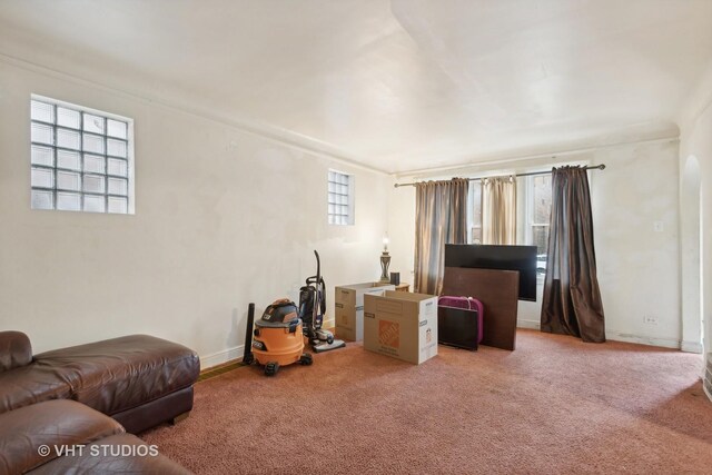 10238 S Vernon Ave, Chicago, IL 60628 - living room featuring light carpet and baseboards