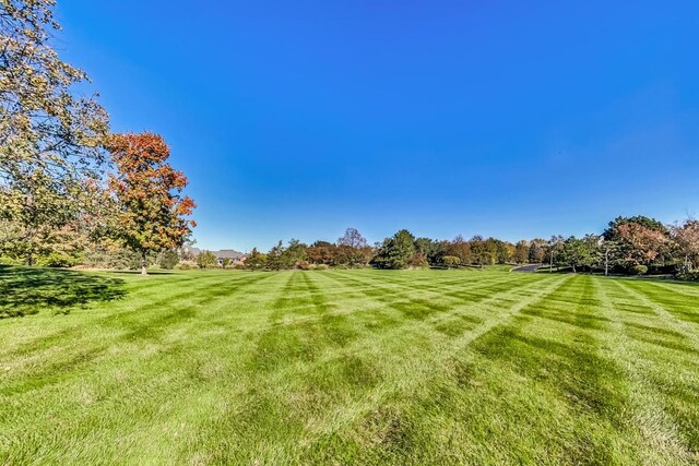 view of yard with a rural view