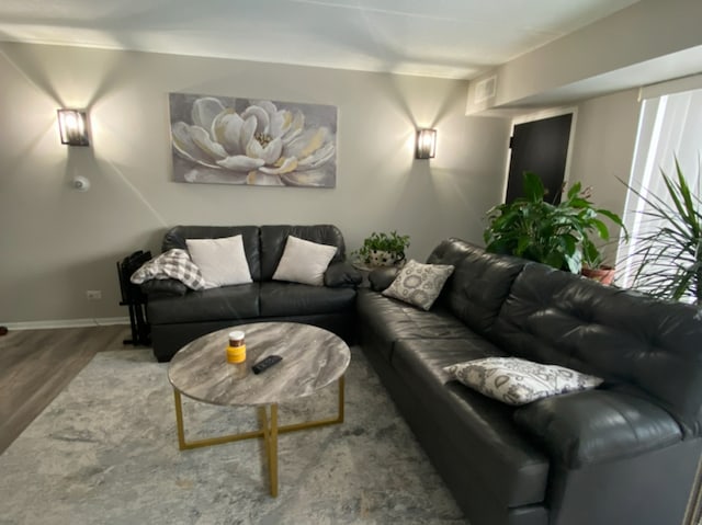 living room with wood-type flooring