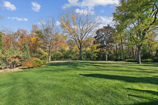 view of yard