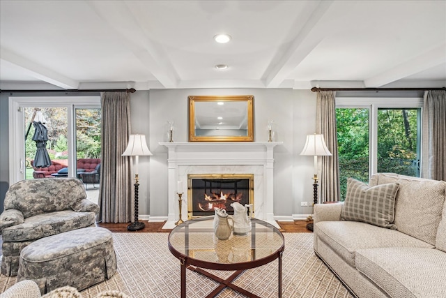 living room with hardwood / wood-style flooring, a healthy amount of sunlight, a premium fireplace, and beam ceiling