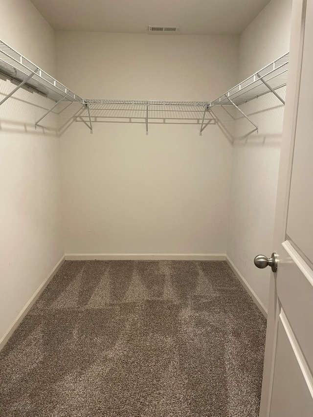 spacious closet with carpet