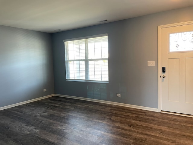 foyer entrance featuring a wealth of natural light and dark wood-type flooring