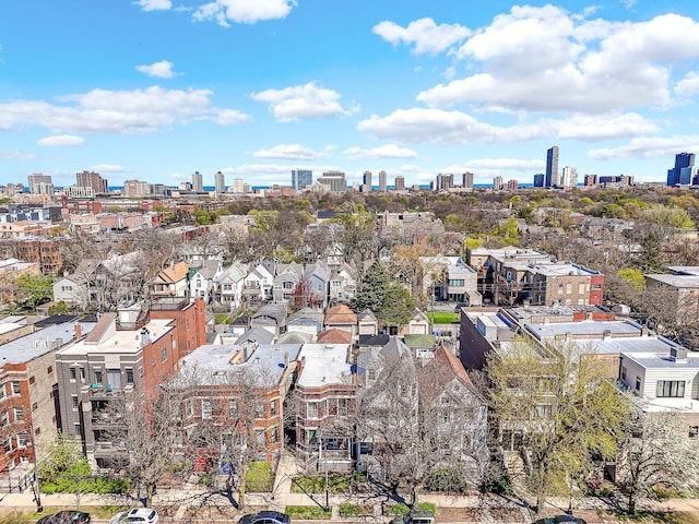 aerial view of a skyline view