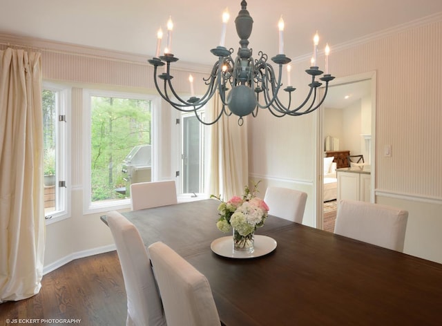 dining area featuring ornamental molding, an inviting chandelier, and dark wood-type flooring