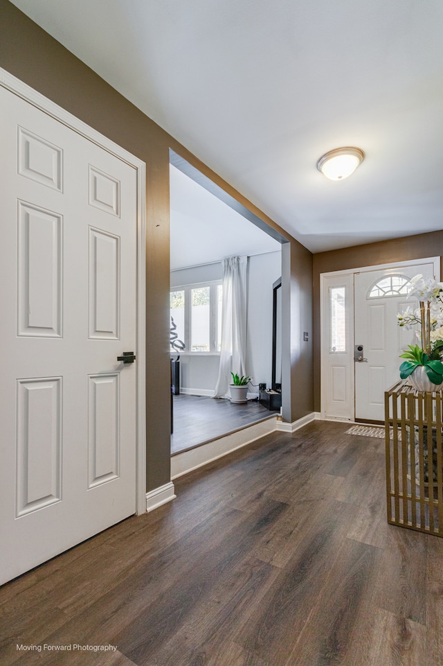 foyer entrance with dark hardwood / wood-style floors