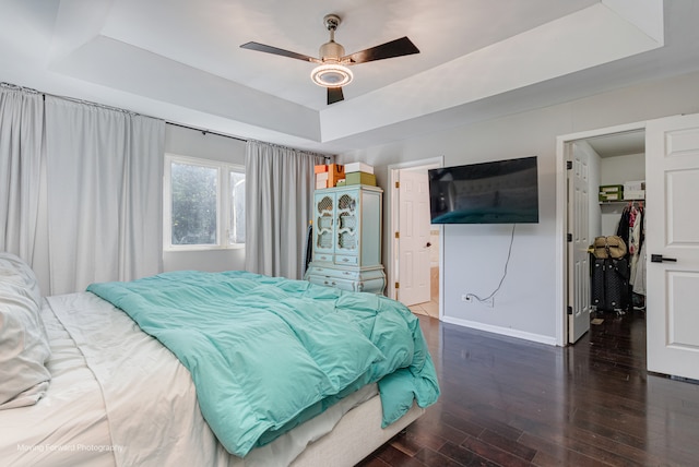 bedroom with a raised ceiling, ceiling fan, a spacious closet, dark hardwood / wood-style floors, and a closet