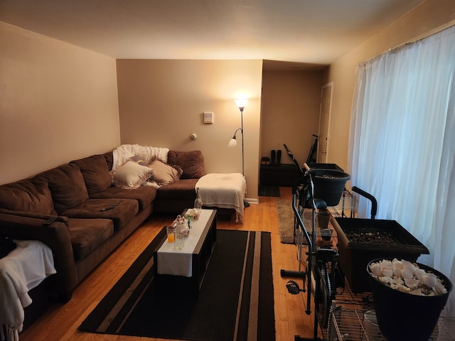 living room with light hardwood / wood-style floors