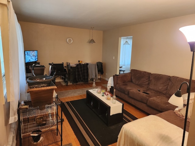 living room with hardwood / wood-style floors