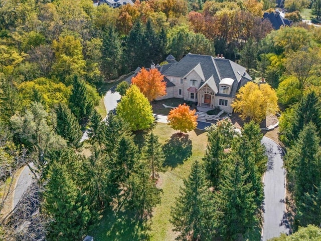 239 Indian Trail Rd, North Barrington, IL 60010 - view from above of property featuring a heavily wooded area