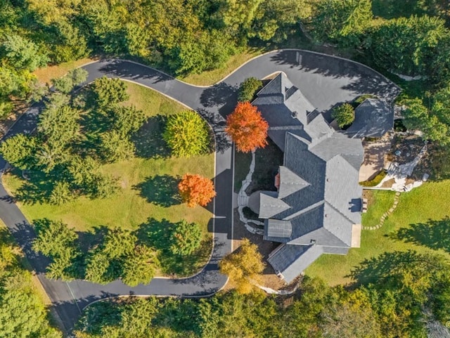 bird's eye view