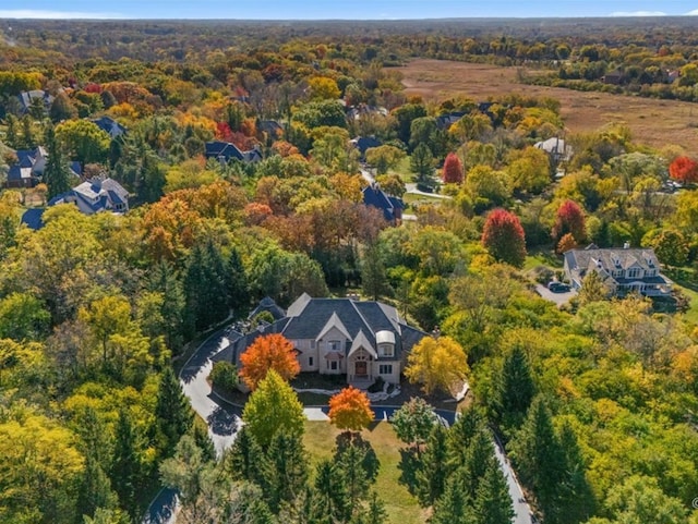 aerial view