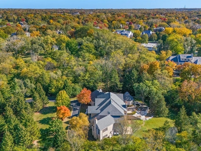 bird's eye view