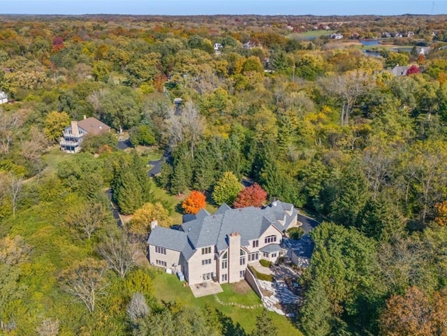 bird's eye view