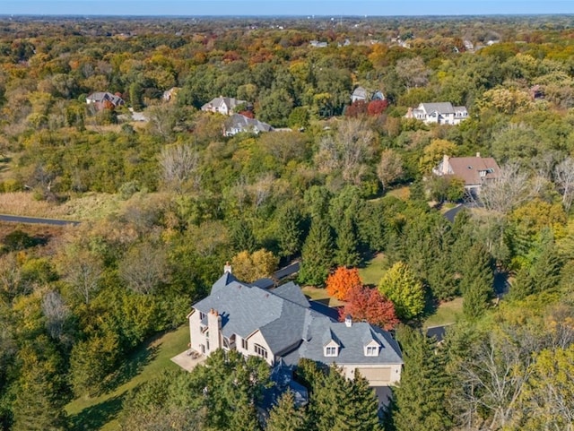 bird's eye view