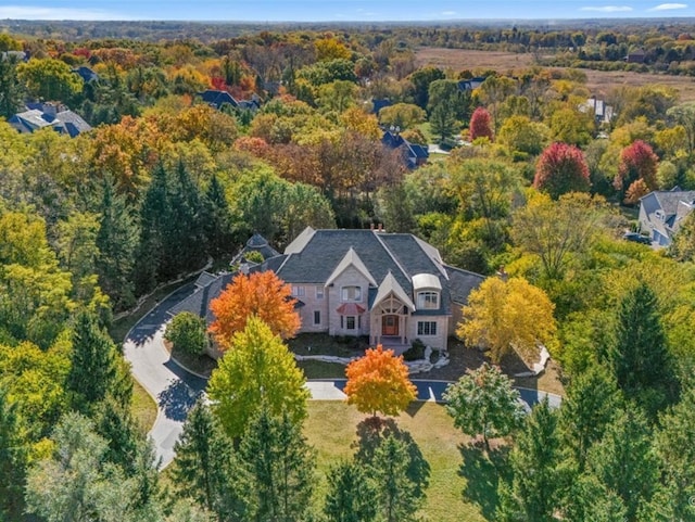 bird's eye view