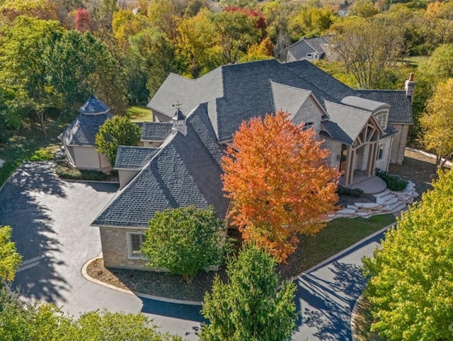 bird's eye view
