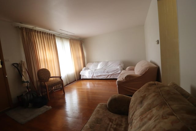 bedroom featuring wood-type flooring