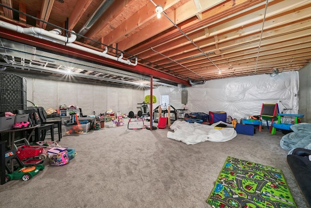 basement with carpet flooring and electric panel