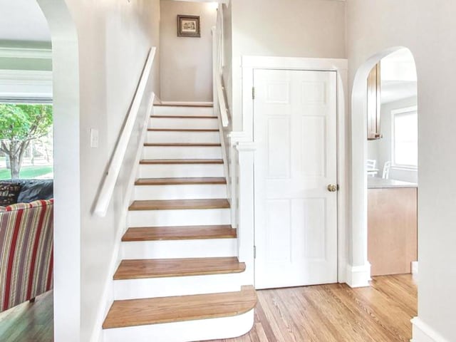 stairs with hardwood / wood-style flooring