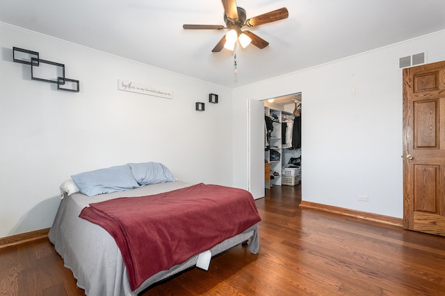 bedroom with a walk in closet, a closet, dark wood-type flooring, and ceiling fan