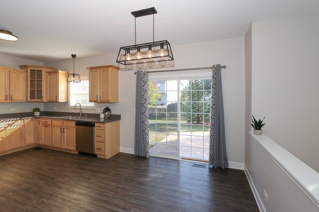 kitchen with dark wood-type flooring, a healthy amount of sunlight, dishwasher, and decorative light fixtures