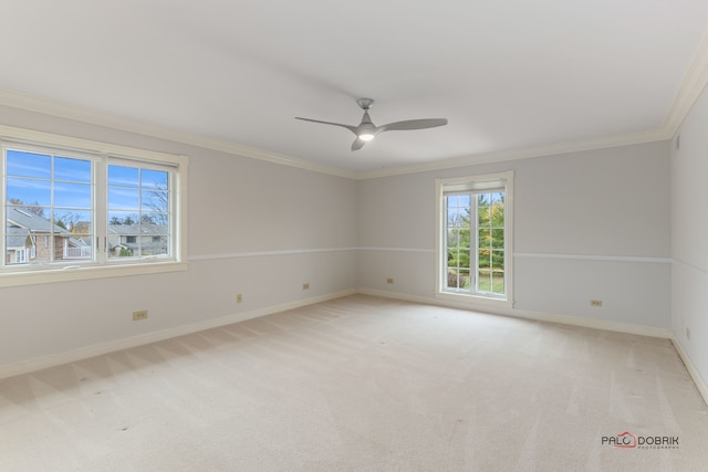 empty room featuring crown molding, ceiling fan, and carpet flooring