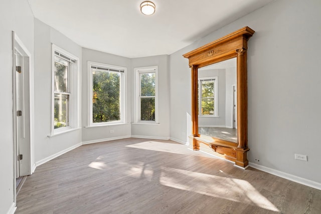 empty room with wood-type flooring