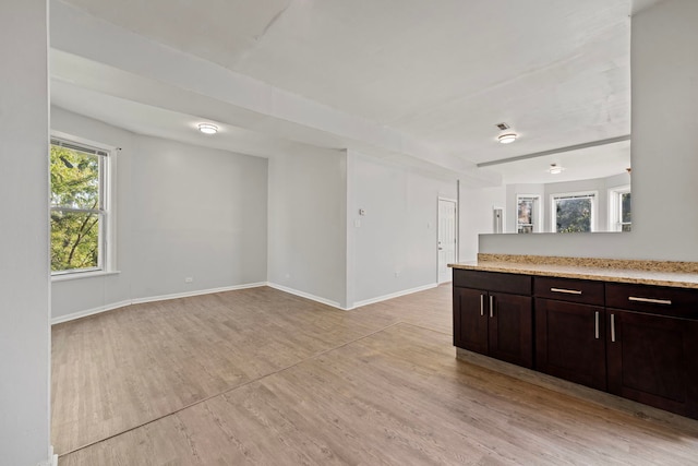 kitchen with light wood-type flooring and dark brown cabinets