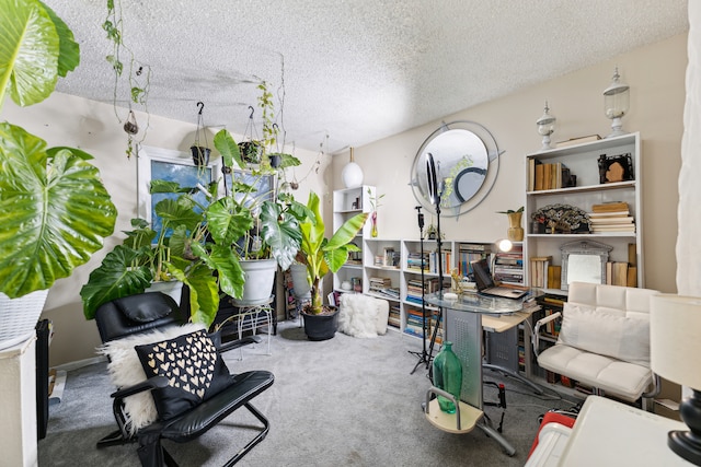 carpeted office space with a textured ceiling