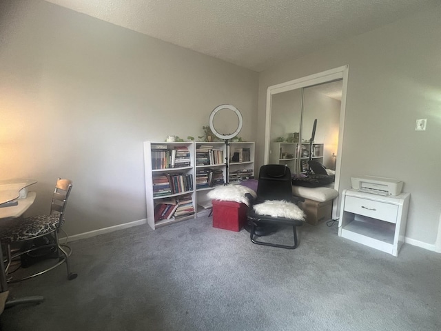 1817 E 171st Pl, South Holland, IL 60473 - sitting room featuring a desk, carpet floors, a textured ceiling, and baseboards
