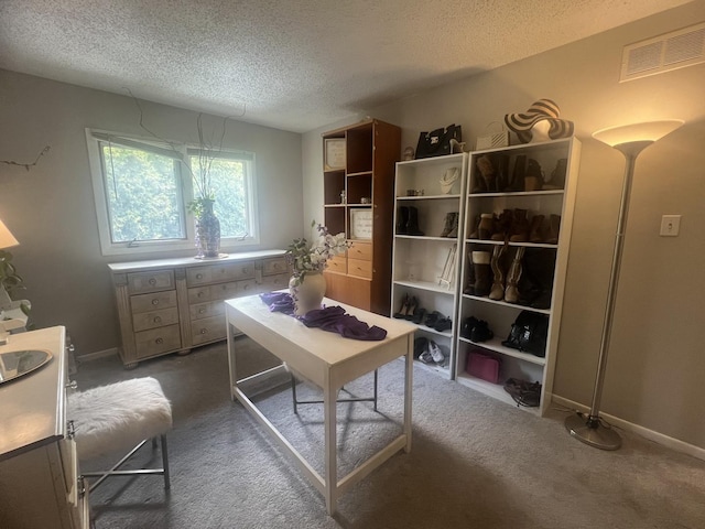 1817 E 171st Pl, South Holland, IL 60473 - home office with a textured ceiling, carpet floors, and baseboards