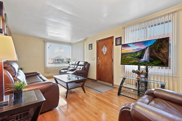 living room featuring light hardwood / wood-style flooring