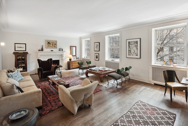 living room featuring radiator, hardwood / wood-style flooring, and a healthy amount of sunlight