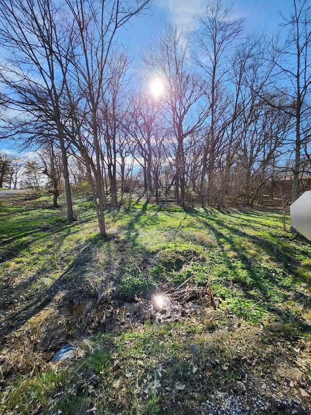 16490 Belleplaine Rd, Markham IL, 60426 land for sale