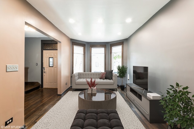 living room featuring dark hardwood / wood-style floors