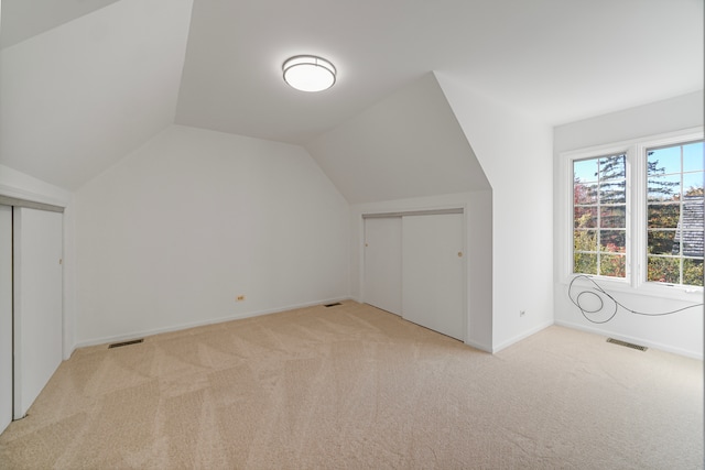 additional living space with lofted ceiling and light carpet