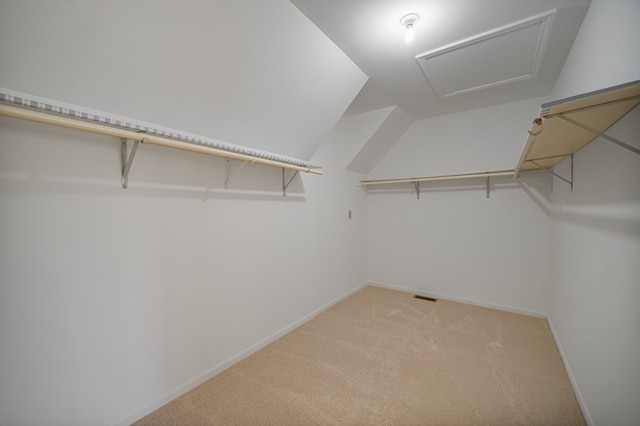 walk in closet with carpet flooring