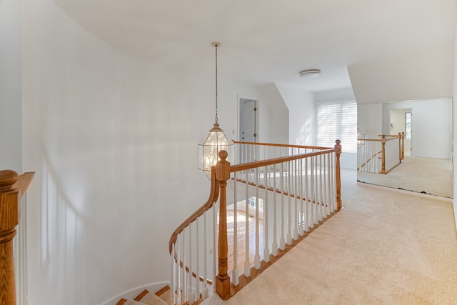 stairway featuring carpet