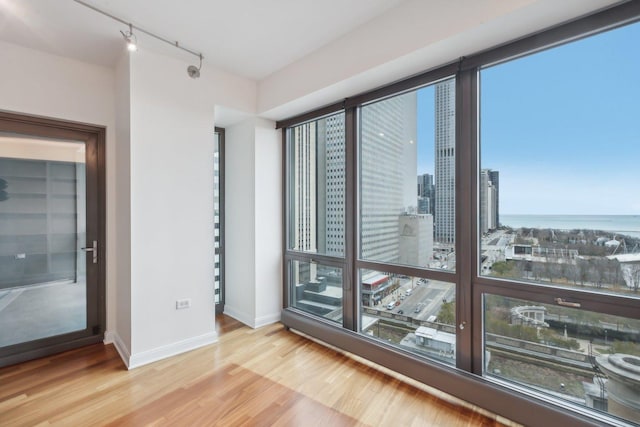 spare room featuring plenty of natural light, a water view, and light wood-type flooring