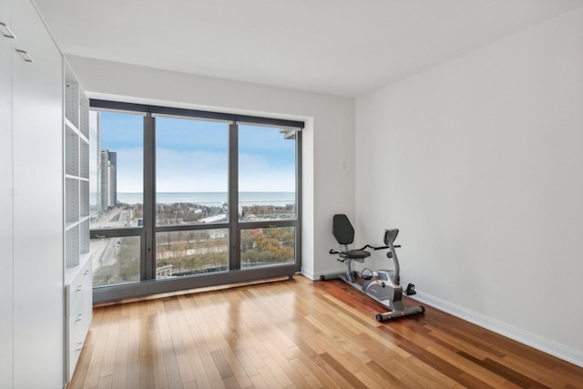 exercise area with hardwood / wood-style flooring and a water view