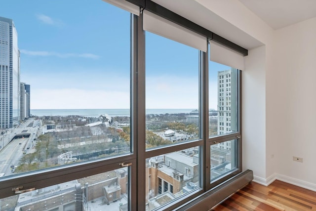 room details featuring hardwood / wood-style flooring and a water view