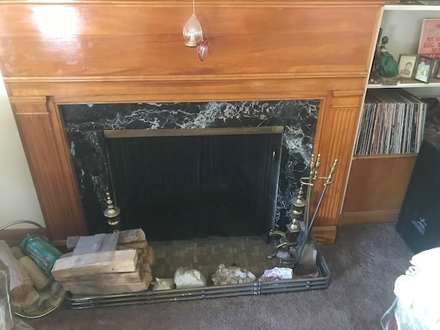 interior details featuring a premium fireplace and carpet