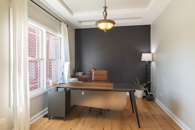 office space with light hardwood / wood-style floors and a tray ceiling