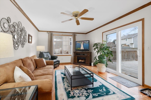 living room featuring ceiling fan, wood-type flooring, and ornamental molding